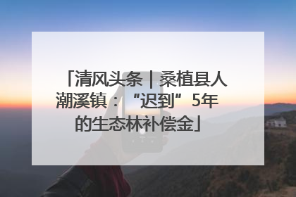 清风头条｜桑植县人潮溪镇：“迟到”5年的生态林补偿金