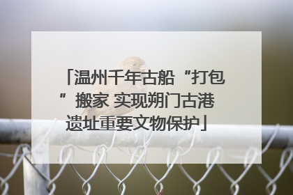 温州千年古船“打包”搬家 实现朔门古港遗址重要文物保护