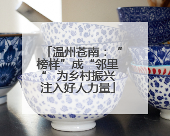 温州苍南：“榜样”成“邻里” 为乡村振兴注入好人力量