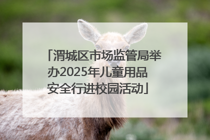 渭城区市场监管局举办2025年儿童用品安全行进校园活动