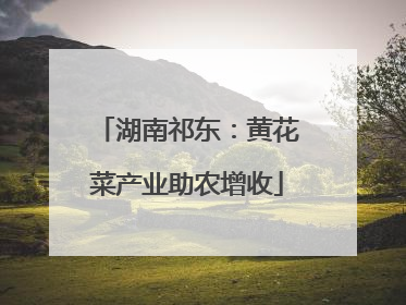 湖南祁东：黄花菜产业助农增收