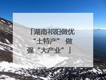 湖南祁阳做优“土特产” 做强“大产业”