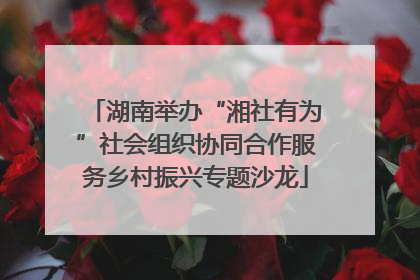 湖南举办“湘社有为”社会组织协同合作服务乡村振兴专题沙龙