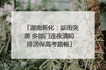 湖南新化：暴雨突袭 多部门连夜清障排涝保高考路畅