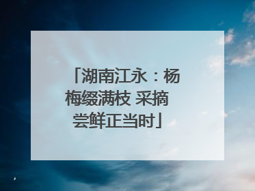 湖南江永：杨梅缀满枝 采摘尝鲜正当时