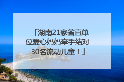 湖南21家省直单位爱心妈妈牵手结对30名流动儿童！