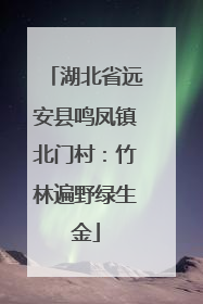 湖北省远安县鸣凤镇北门村：竹林遍野绿生金
