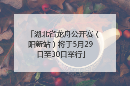 湖北省龙舟公开赛（阳新站）将于5月29日至30日举行