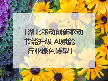 湖北移动创新驱动节能升级 AI赋能行业绿色转型