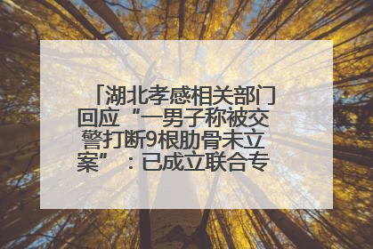 湖北孝感相关部门回应“一男子称被交警打断9根肋骨未立案”：已成立联合专班开展工作