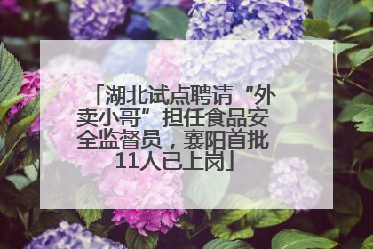 湖北试点聘请“外卖小哥”担任食品安全监督员，襄阳首批11人已上岗