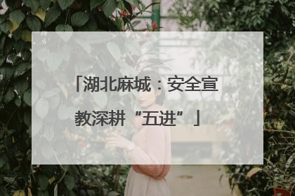 湖北麻城：安全宣教深耕“五进”