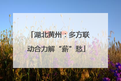 湖北黄州：多方联动合力解“薪”愁