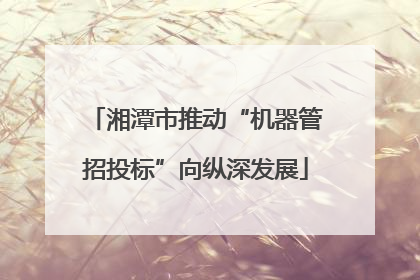 湘潭市推动“机器管招投标”向纵深发展