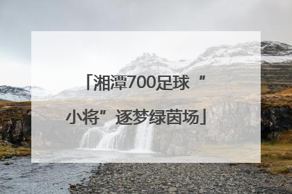 湘潭700足球“小将”逐梦绿茵场
