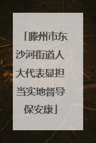 滕州市东沙河街道人大代表显担当实地督导保安康