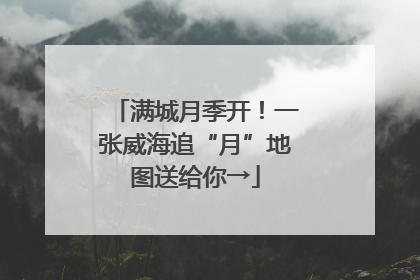 满城月季开！一张威海追“月”地图送给你→