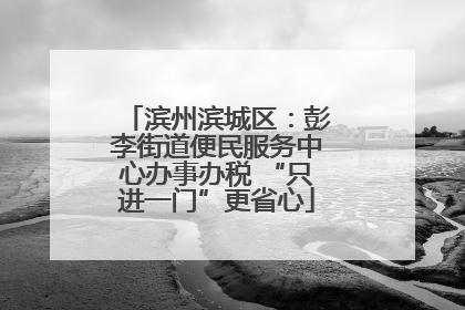 滨州滨城区：彭李街道便民服务中心办事办税 “只进一门”更省心