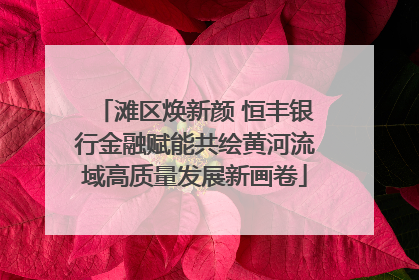 滩区焕新颜 恒丰银行金融赋能共绘黄河流域高质量发展新画卷