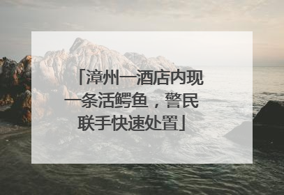 漳州一酒店内现一条活鳄鱼，警民联手快速处置