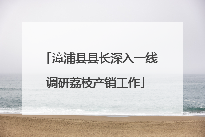 漳浦县县长深入一线调研荔枝产销工作