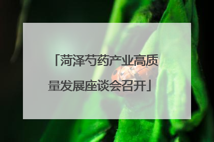 菏泽芍药产业高质量发展座谈会召开