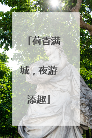 荷香满城，夜游添趣
