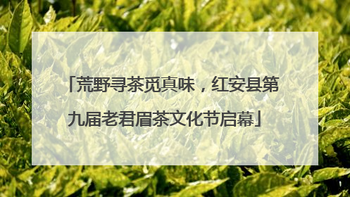 荒野寻茶觅真味，红安县第九届老君眉茶文化节启幕