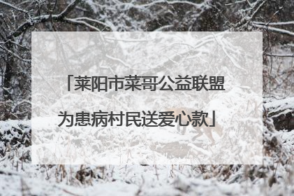 莱阳市菜哥公益联盟为患病村民送爱心款