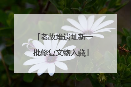 老故堆遗址新一批修复文物入藏