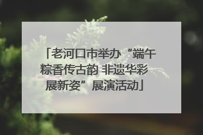 老河口市举办“端午粽香传古韵 非遗华彩展新姿”展演活动