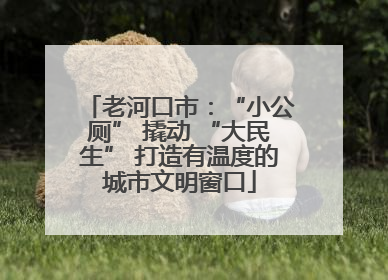 老河口市：“小公厕” 撬动 “大民生” 打造有温度的城市文明窗口