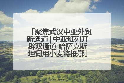 聚焦武汉中亚外贸新通道│中亚班列开辟双通道 哈萨克斯坦饲用小麦将抵鄂