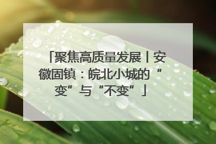 聚焦高质量发展丨安徽固镇：皖北小城的“变”与“不变”