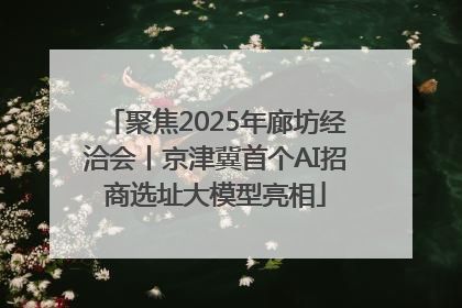 聚焦2025年廊坊经洽会丨京津冀首个AI招商选址大模型亮相