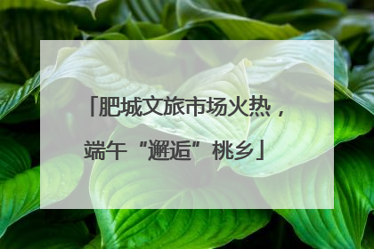 肥城文旅市场火热，端午“邂逅”桃乡