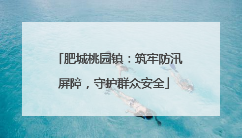 肥城桃园镇：筑牢防汛屏障，守护群众安全
