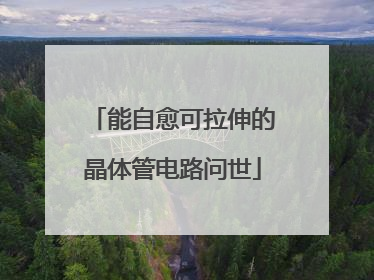 能自愈可拉伸的晶体管电路问世