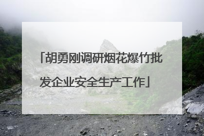 胡勇刚调研烟花爆竹批发企业安全生产工作