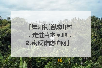 舞阳街道城山村：走进苗木基地，织密反诈防护网