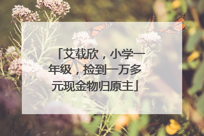 艾载欣，小学一年级，捡到一万多元现金物归原主