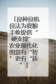 良种良机良法为夏粮丰收提供“硬支撑” 农业现代化图景有“智”更有“质”