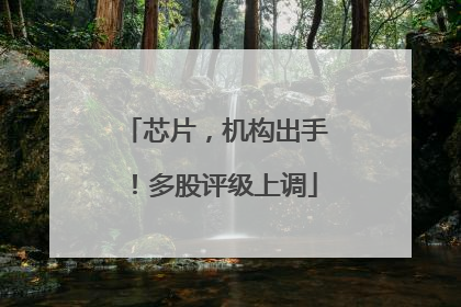 芯片，机构出手！多股评级上调