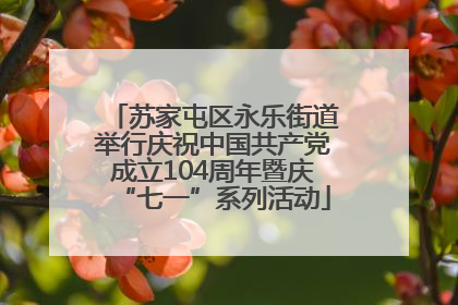 苏家屯区永乐街道举行庆祝中国共产党成立104周年暨庆“七一”系列活动