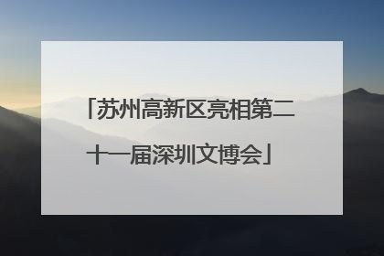 苏州高新区亮相第二十一届深圳文博会