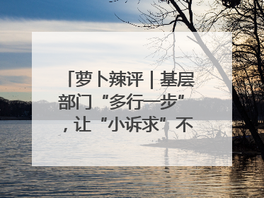 萝卜辣评｜基层部门“多行一步”，让“小诉求”不缺席法治守护