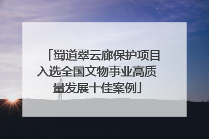 蜀道翠云廊保护项目入选全国文物事业高质量发展十佳案例