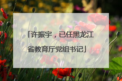 许振宇,已任黑龙江省教育厅党组书记