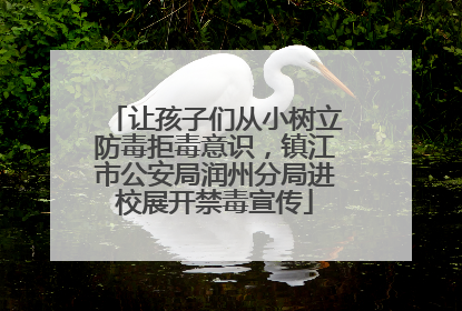 让孩子们从小树立防毒拒毒意识，镇江市公安局润州分局进校展开禁毒宣传