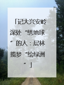 记大兴安岭深处“绣地球”的人：层林揽梦“绘绿洲”